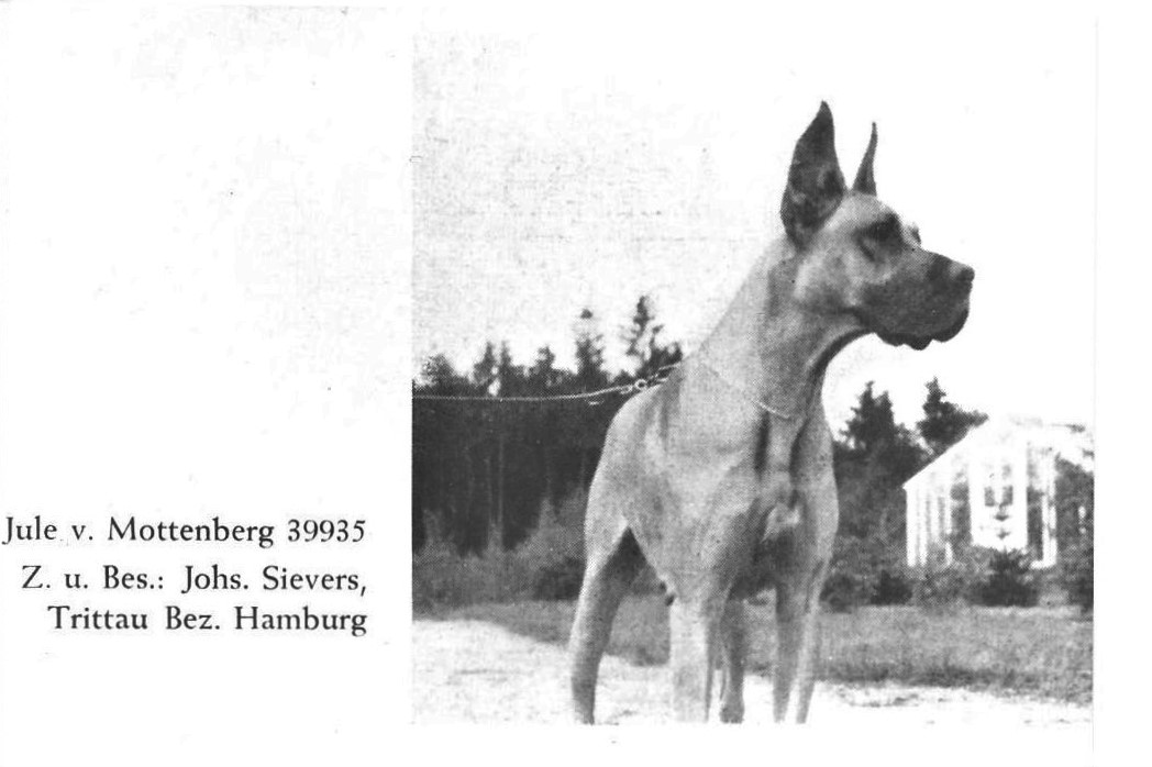 Jule v Mottenberg
